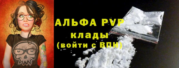 прущие грибы Гусев