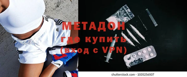 прущие грибы Гусев
