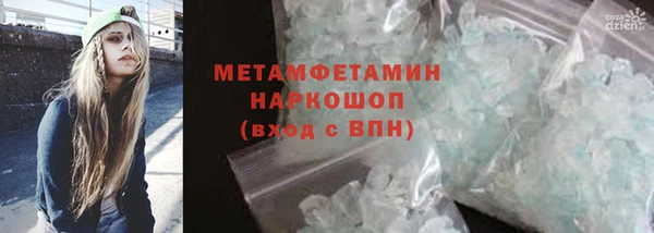 прущие грибы Гусев