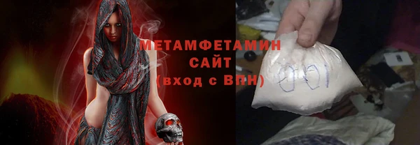 прущие грибы Гусев