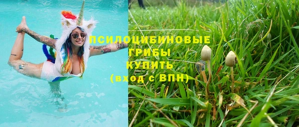 прущие грибы Гусев