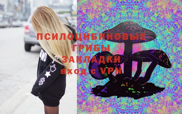 амф Гусиноозёрск