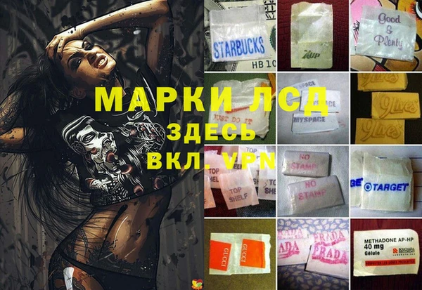 прущие грибы Гусев