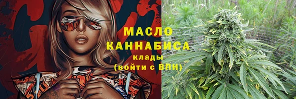 амф Гусиноозёрск