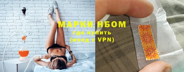 амф Гусиноозёрск