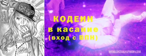 амф Гусиноозёрск