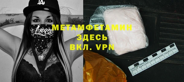 прущие грибы Гусев