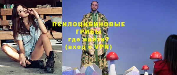 прущие грибы Гусев