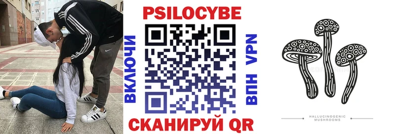 Купить где  Ковдор  Псилоцибиновые грибы GOLDEN TEACHER 